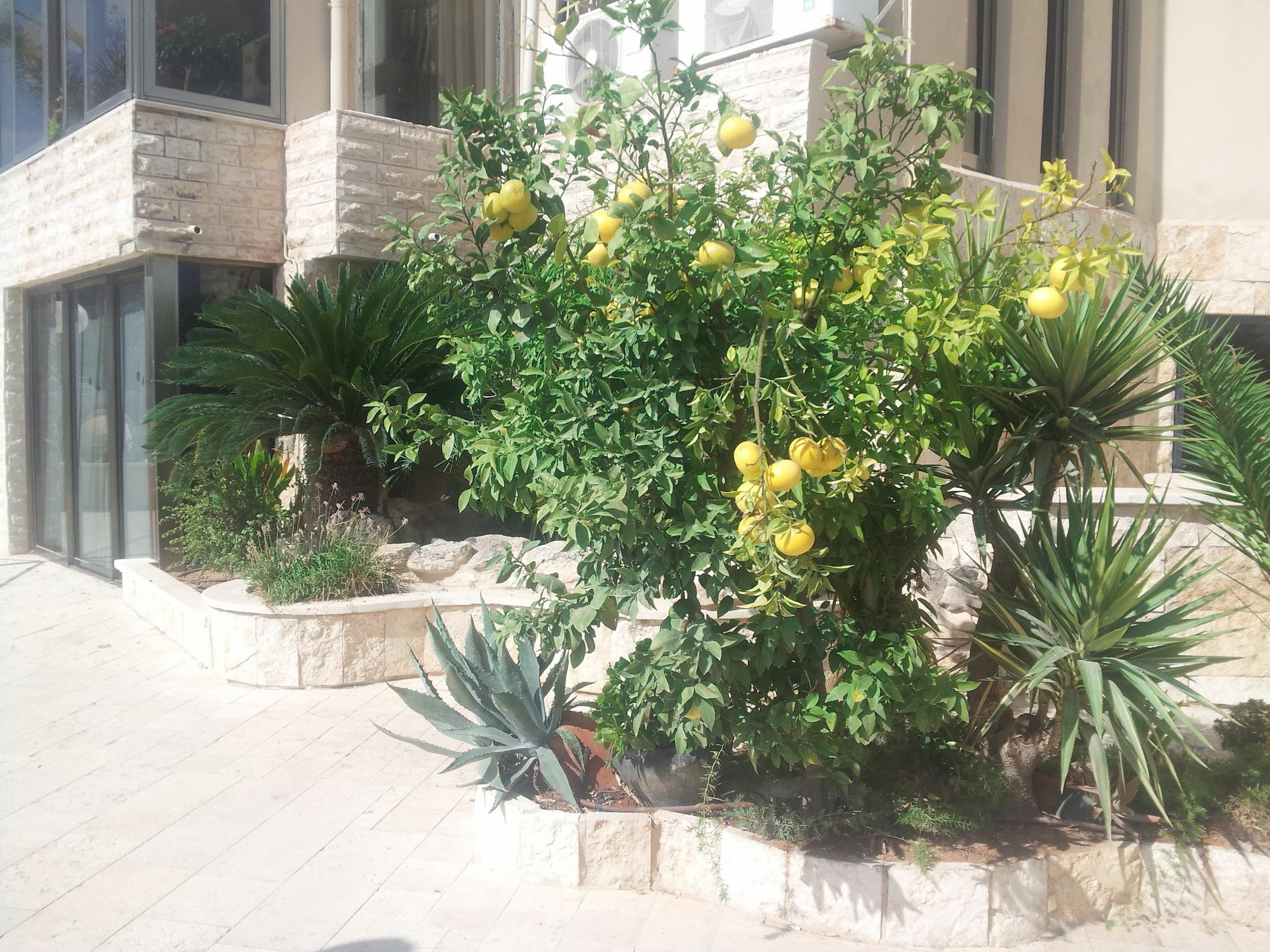 Marom Residence Romema Haifa Exterior photo